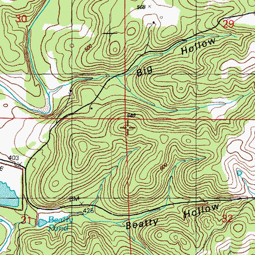 Topographic Map of Montgomery Hill, AR
