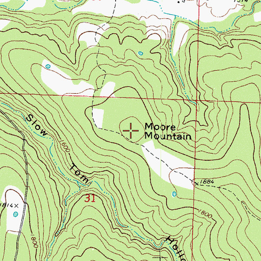 Topographic Map of Moore Mountain, AR