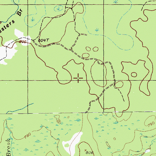 Topographic Map of Town of Caswell, ME