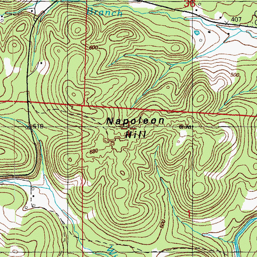 Topographic Map of Napoleon Hill, AR