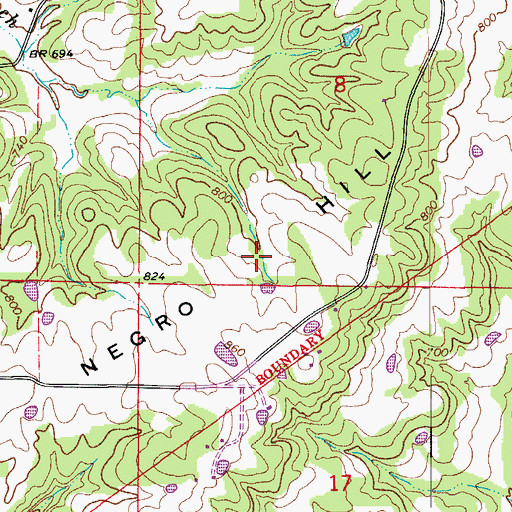 Topographic Map of Negro Hill, AR