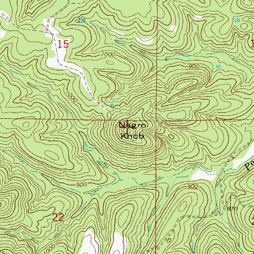 Topographic Map of Negro Knob, AR