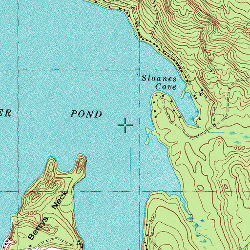 Topographic Map of Town of Raymond, ME