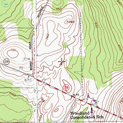 Topographic Map of Town of Woodland, ME