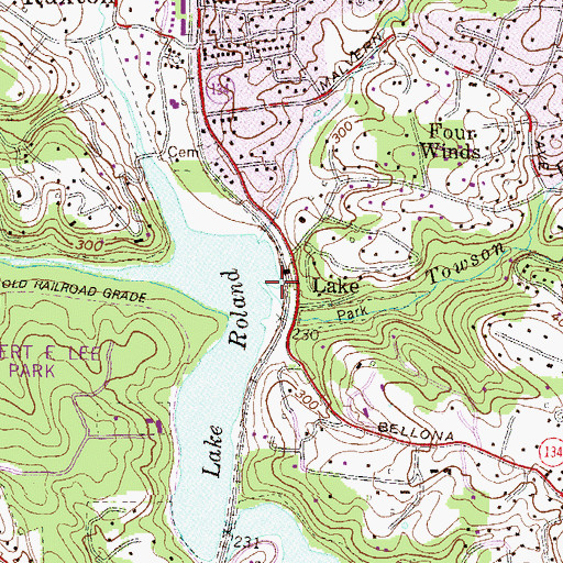 Topographic Map of Towson Run, MD