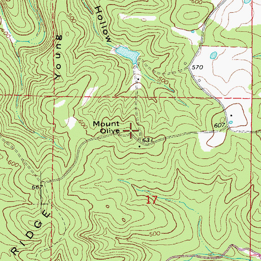 Topographic Map of Mount Olive, AR