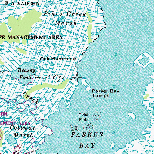 Topographic Map of Beasey Creek, MD