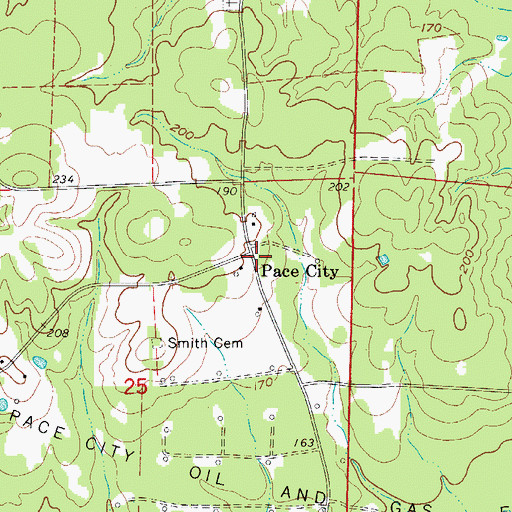 Topographic Map of Pace City, AR