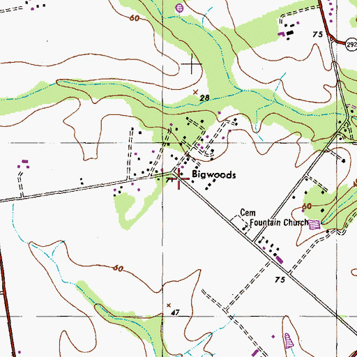 Topographic Map of Bigwoods, MD