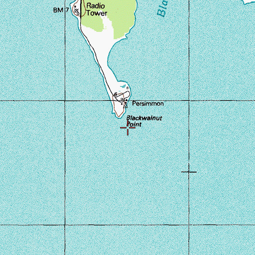 Topographic Map of Blackwalnut Point, MD