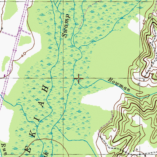 Topographic Map of Bowman Creek, MD