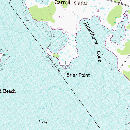 Topographic Map of Brier Point, MD