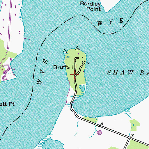 Topographic Map of Bruffs Island, MD