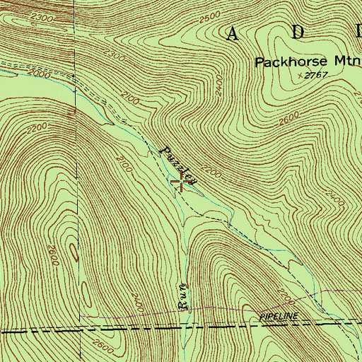 Topographic Map of Bucks Run, PA