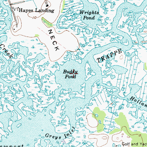 Topographic Map of Buddy Pond, MD