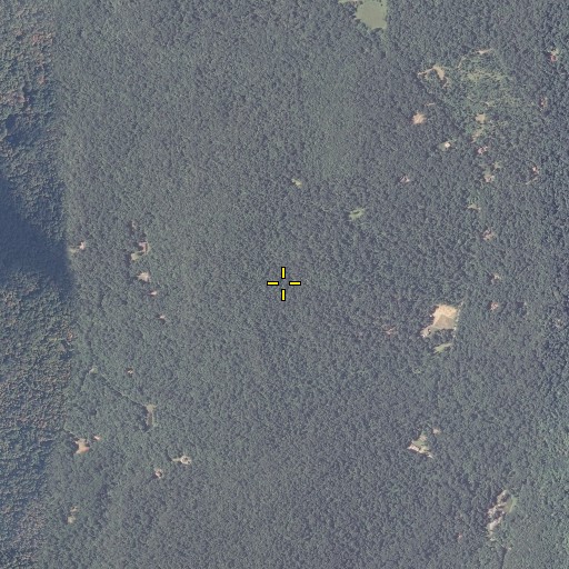 Aerial/Satellite Image of Buzzard Flats, MD