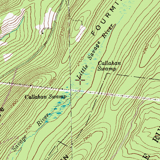 Topographic Map of Callahan Swamp, MD