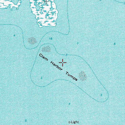 Topographic Map of Clam Harbor Tumps, MD