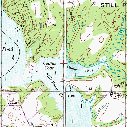 Topographic Map of Codjus Cove, MD