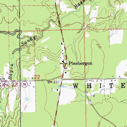 Topographic Map of Pinebergen, AR