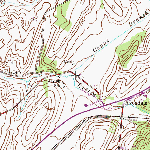 Topographic Map of Copps Branch, MD
