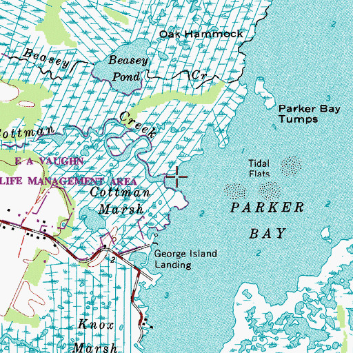 Topographic Map of Cottman Creek, MD