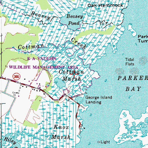 Topographic Map of Cottman Marsh, MD