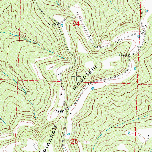 Topographic Map of Pinnacle Mountain, AR