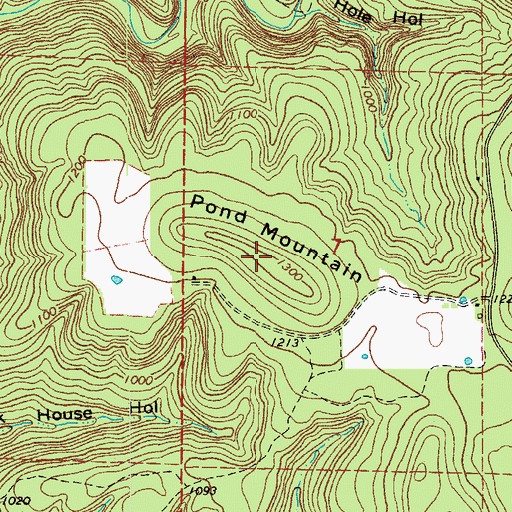 Topographic Map of Pond Mountain, AR