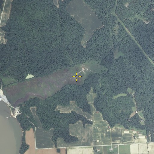 Aerial/Satellite Image of Drinks Run, MD