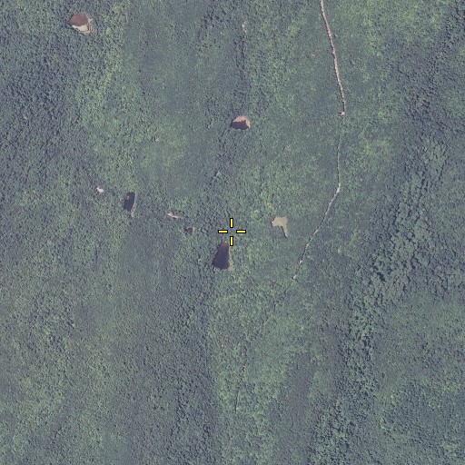 Aerial/Satellite Image of Dry Branch, MD