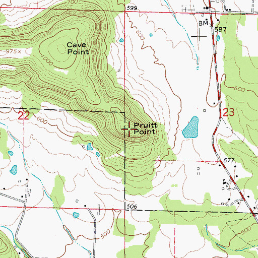 Topographic Map of Pruitt Point, AR