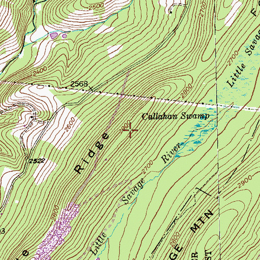 Topographic Map of Fourmile Ridge, MD