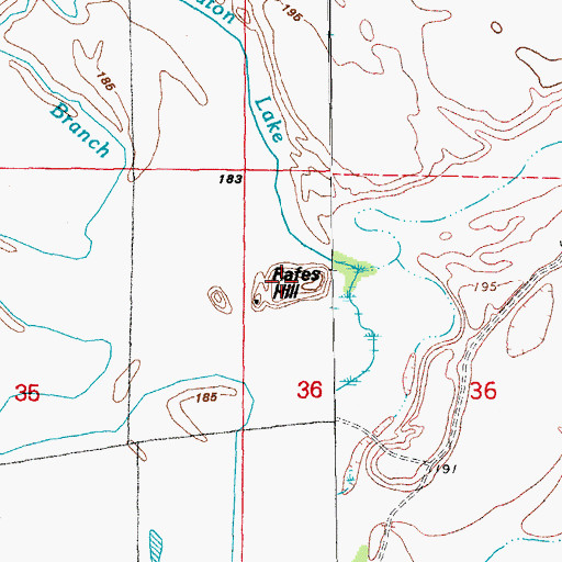 Topographic Map of Rafes Hill, AR