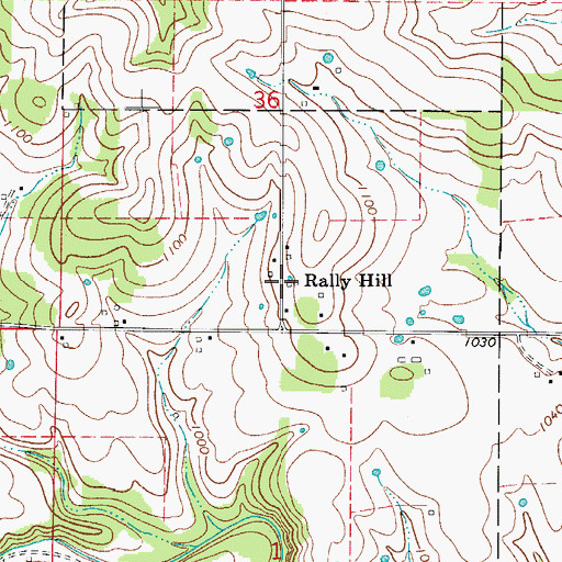 Topographic Map of Rally Hill, AR