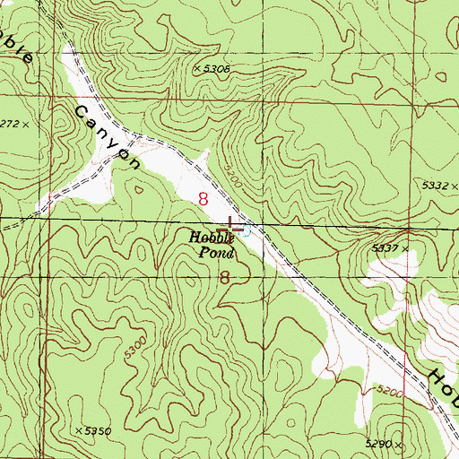 Topographic Map of Hobble Pond, AZ
