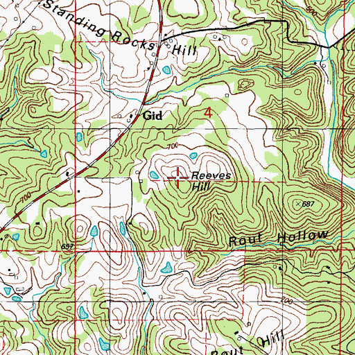 Topographic Map of Reeves Hill, AR