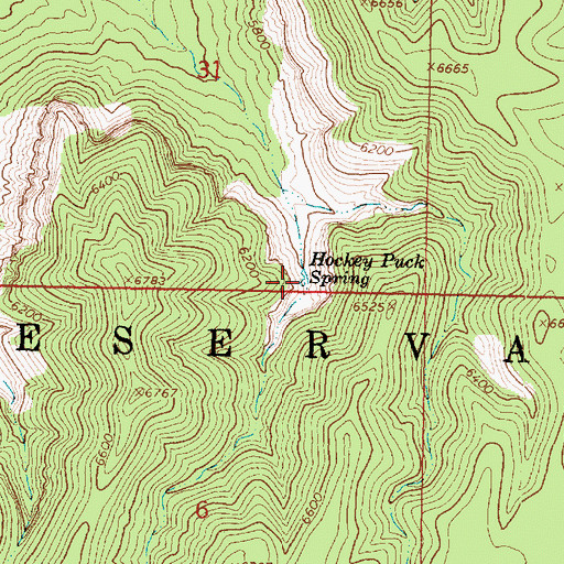 Topographic Map of Hockey Puck Spring, AZ