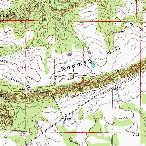 Topographic Map of Rodman Hill, AR