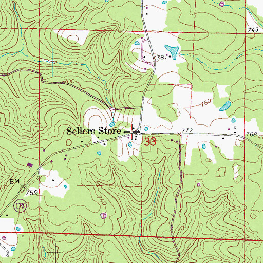 Topographic Map of Sellers Store, AR
