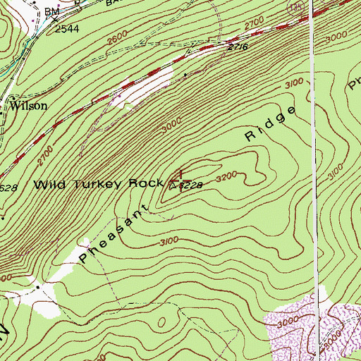 Topographic Map of Pheasant Ridge, MD