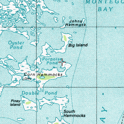 Topographic Map of Porpoise Pond, MD