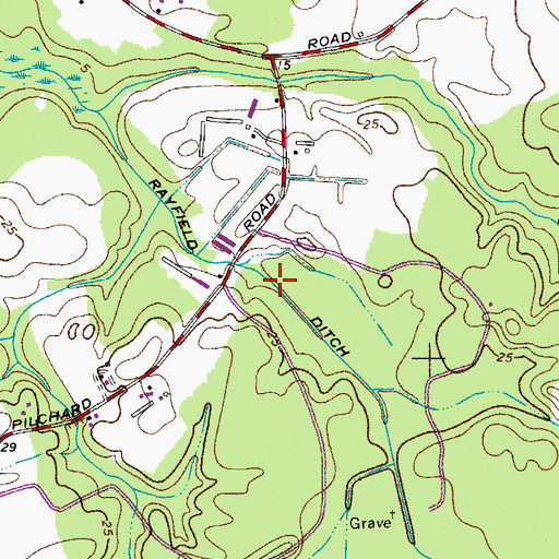 Topographic Map of Rayfield Ditch, MD