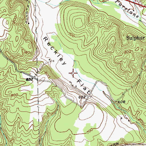 Topographic Map of Reckley Flat, MD