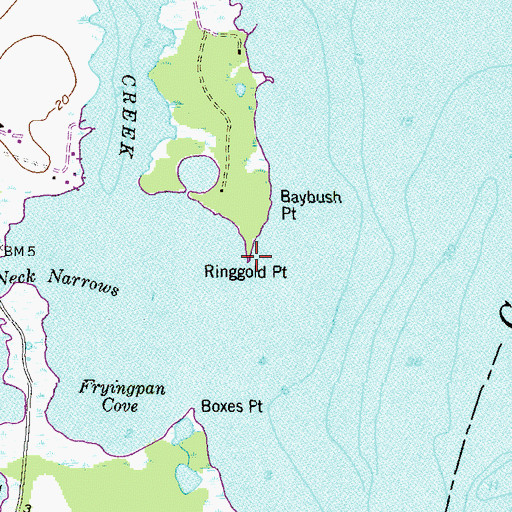 Topographic Map of Ringgold Point, MD