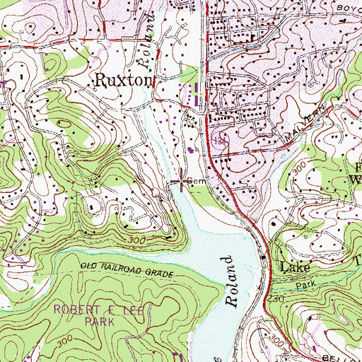 Topographic Map of Roland Run, MD