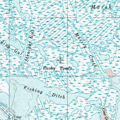 Topographic Map of Rushy Ponds, MD