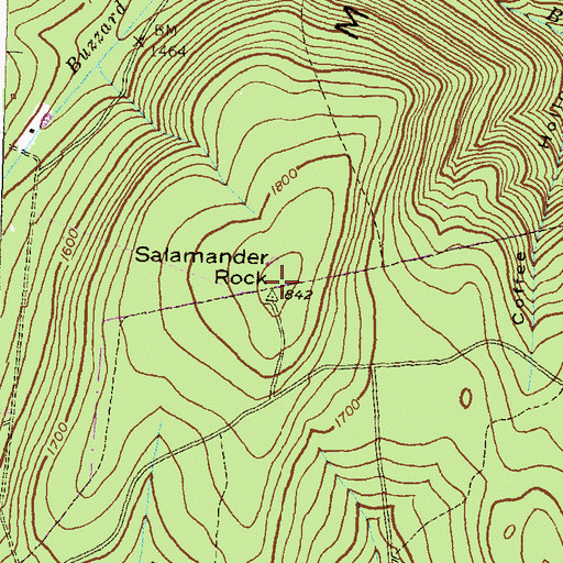 Topographic Map of Salamander Rock, MD