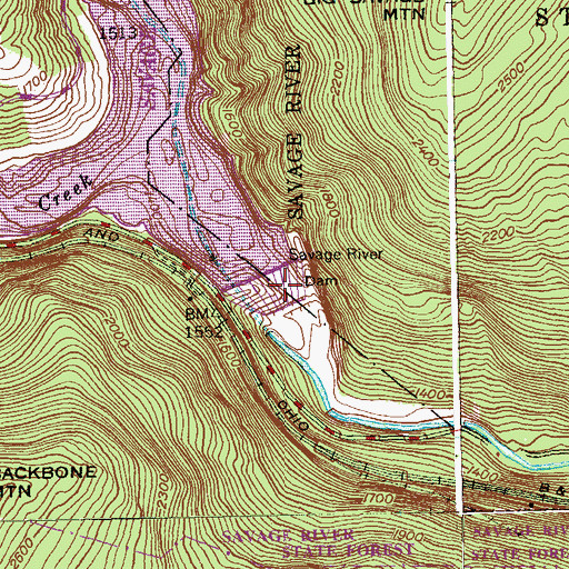 Topographic Map of Savage River Dam, MD