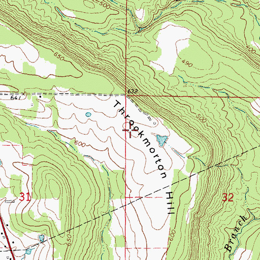 Topographic Map of Throckmorton Hill, AR